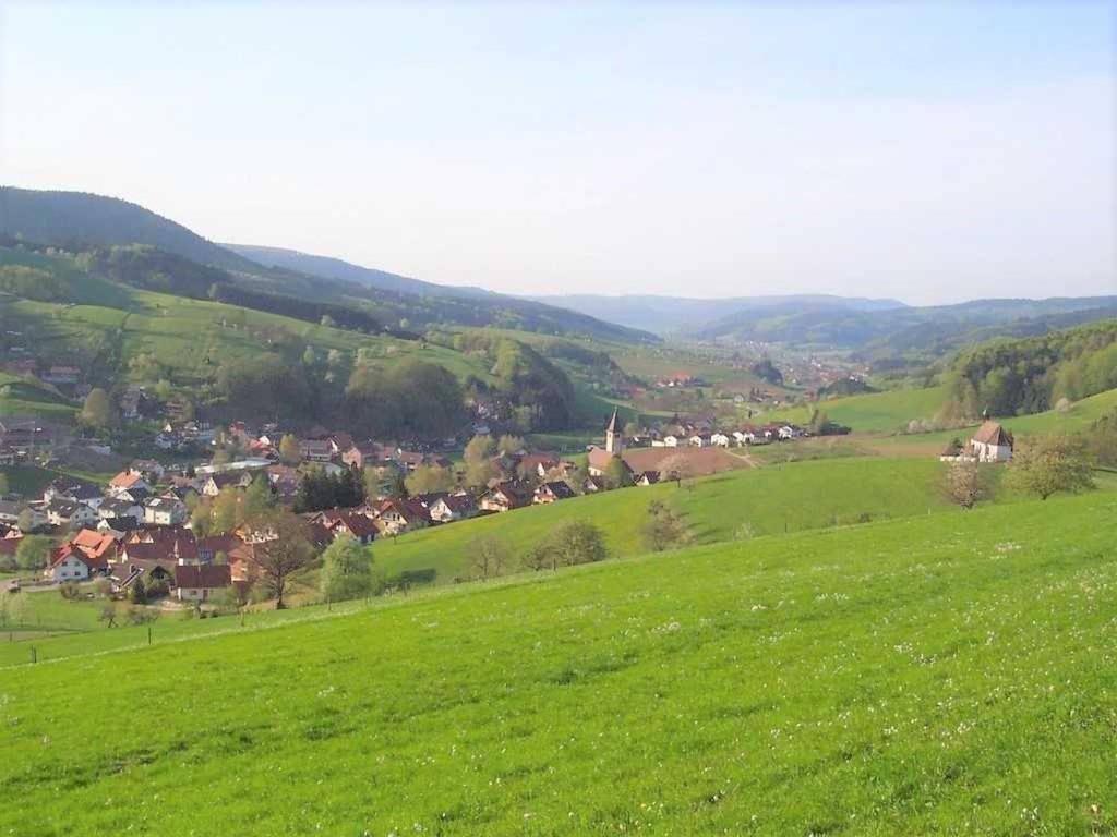 Ferienwohnung In der Ruhl Schuttertal Exterior foto