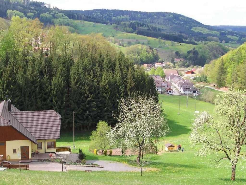 Ferienwohnung In der Ruhl Schuttertal Exterior foto